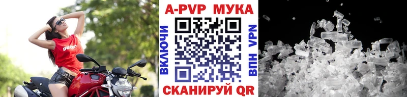 маркетплейс Telegram  Нефтекамск  Альфа ПВП СК  omg ссылки 