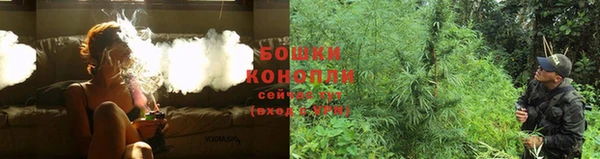 гидра Зерноград