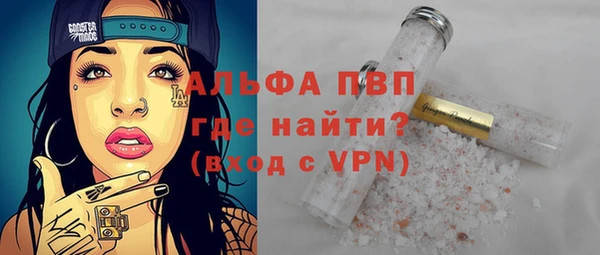 прущие грибы Зеленокумск