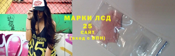 прущие грибы Зеленокумск