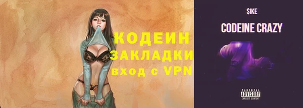 крисы Зеленодольск
