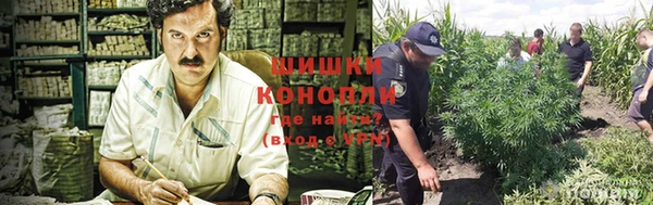 крисы Зеленодольск
